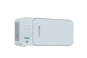 iKeyp Pro Smart Safe