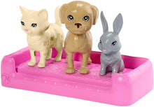 Load image into Gallery viewer, Barbie Play &#39;n Wash Pets Playset with Brunette Barbie Doll, 3 Color-Change Animals (A Puppy, Kitten and Bunny) and 10 Pet and Grooming Accessories, Gift for 3 to 7 Year Olds