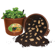 Load image into Gallery viewer, City Pickers Spud Tub Potato Grow Kit – Works Great on Decks and Patios – Low Maintenance &amp; High Potato Yields