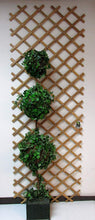 Load image into Gallery viewer, Master Garden Products Bamboo Flex Fence