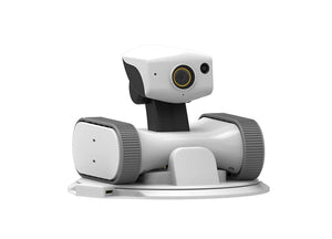 iPATROL Riley V2- WiFi Enabled mobilized Home Monitoring Robot