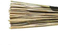 Load image into Gallery viewer, Backyard X-Scapes BAMA-BP01 Bamboo Pole, 25 Pack