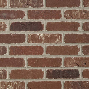 Single Thin Bricks - Flats for Brickwebb (Box of 50) - Boston Mill