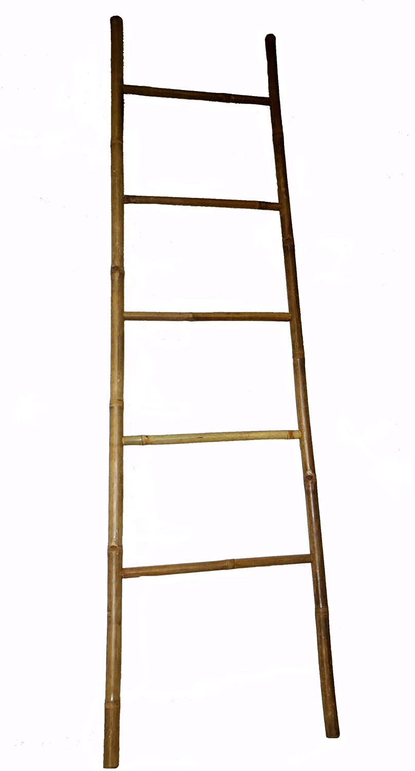 Bamboo Ladder, 84H