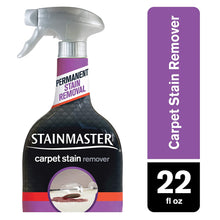 Load image into Gallery viewer, STAINMASTER Carpet Stain Remover Cleaner, 22 Fl Oz