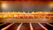 Load image into Gallery viewer, Bacon Bonanza by Gotham Steel Oven Healthier Bacon Drip Rack Tray with Pan – As Seen on TV