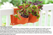 Load image into Gallery viewer, BloemBagz 3 Pocket Rail Planter