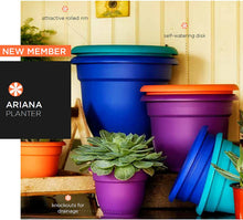 Load image into Gallery viewer, Bloem Ariana Plastic Round Self Watering Planter