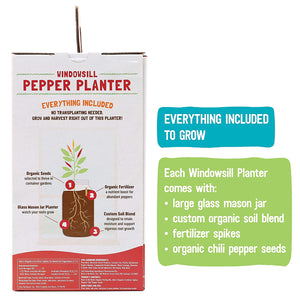 Back to the Roots Non-GMO Chilli Planter 25206 Organic Chilli Peppers Year-Round Indoor Herb Garden Grow Kit Includes Vegetable Seeds Variety Pack for Planting