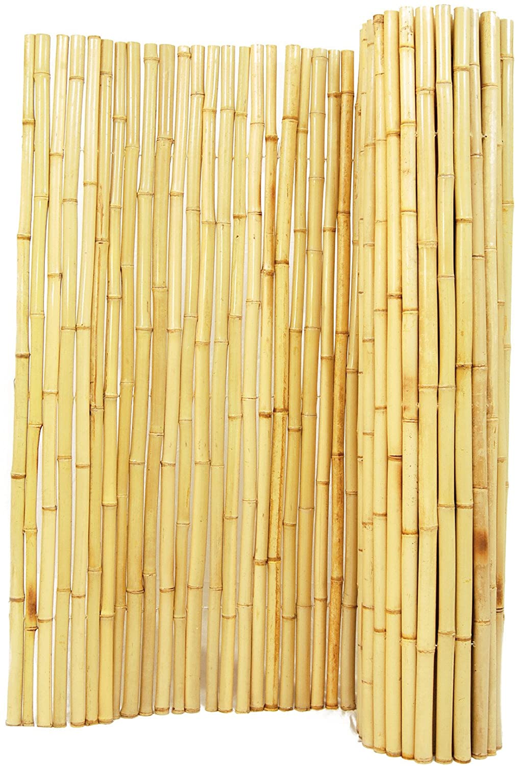 Backyard X-Scapes BAMA-BF01 Natural Rolled Bamboo Fence, 3/4
