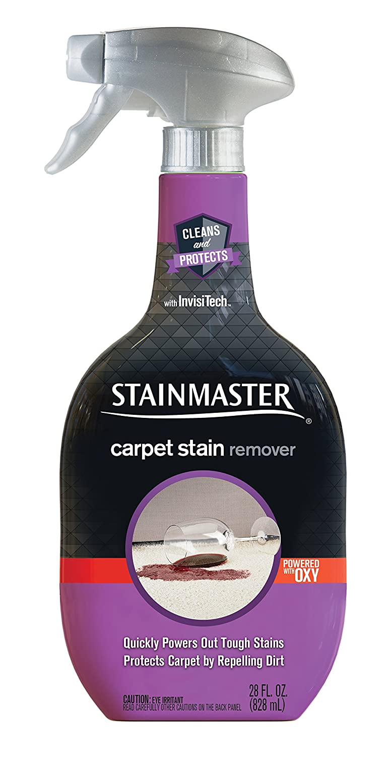 Stainmaster Carpet Care Stain Remover, 22 oz