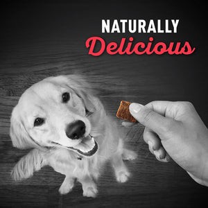 Honest To Dog Tasty Tenders Beef & Chicken Recipe Dog Treats - 30 oz. Pouch