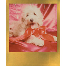 Load image into Gallery viewer, Polaroid Originals 4859 Limited Edition Color Film for 600 - Metallic Gold Frame Edition