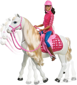Barbie Dream Horse & Black Hair Doll