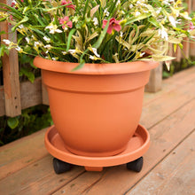 Load image into Gallery viewer, Bloem Ariana Plastic Round Self Watering Planter