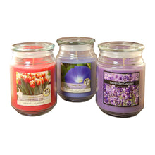 Load image into Gallery viewer, Lumabase 27003 3 Count Floral Collection in Jar Scented Candles, 18 oz, Multicolor