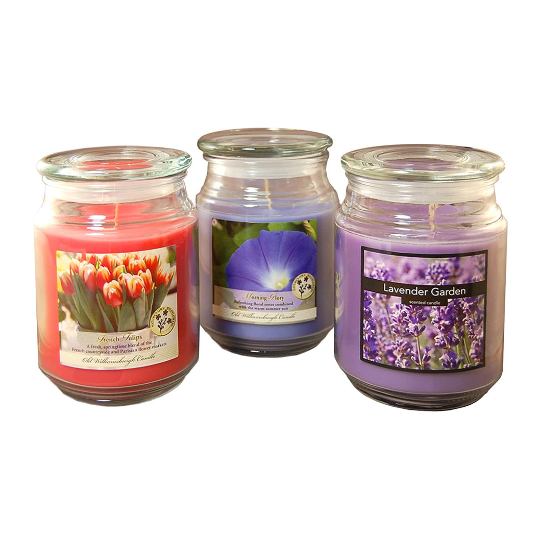 Lumabase 27003 3 Count Floral Collection in Jar Scented Candles, 18 oz, Multicolor