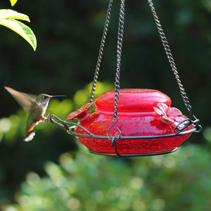 Nature's Way Bird Products MHF4 Garden Top Fill Hummingbird Feeder, 16 oz Capacity, Red