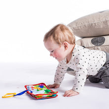 Load image into Gallery viewer, Baby Einstein Explore and Discover Soft Book Toy