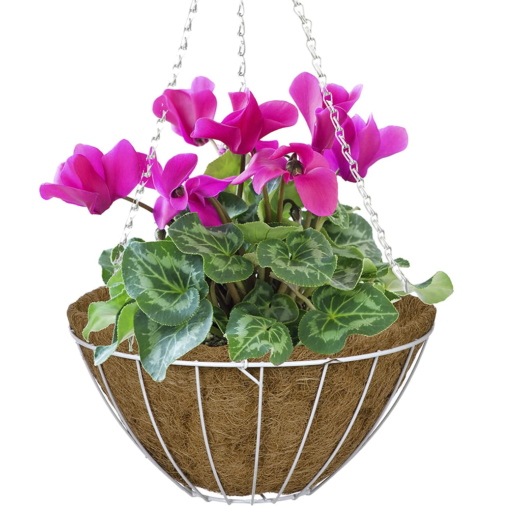 CobraCo White 12-Inch Growers Style Hanging Basket HGB12-W