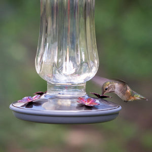 Perky Pet 8132-2 Starglow Vintage Glass Hummingbird Feeder