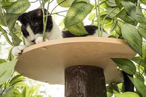 On2Pets Cat Condo Furniture, Tree House Tower for Climbing, Playing, Scratching, and Relaxing