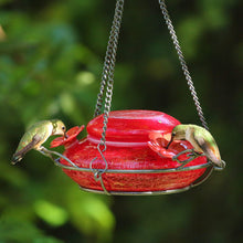 Load image into Gallery viewer, Nature&#39;s Way Bird Products MHF4 Garden Top Fill Hummingbird Feeder, 16 oz Capacity, Red