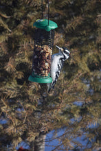 Load image into Gallery viewer, Lyric 26-47405 Woodpecker Bird Food Cube Green