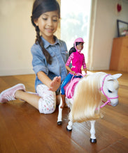 Load image into Gallery viewer, Barbie Dream Horse &amp; Black Hair Doll