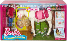 Load image into Gallery viewer, Barbie Dream Horse &amp; Black Hair Doll