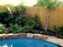 Load image into Gallery viewer, Backyard X-Scapes BAMA-BF01 Natural Rolled Bamboo Fence, 3/4&quot; D x 3&#39; H x 6&#39; L